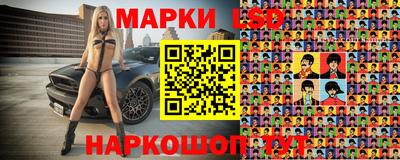 spice Обнинск