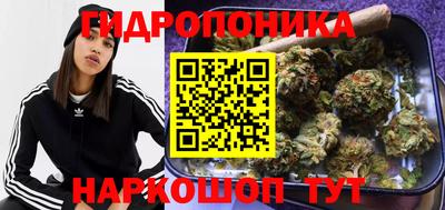 spice Обнинск