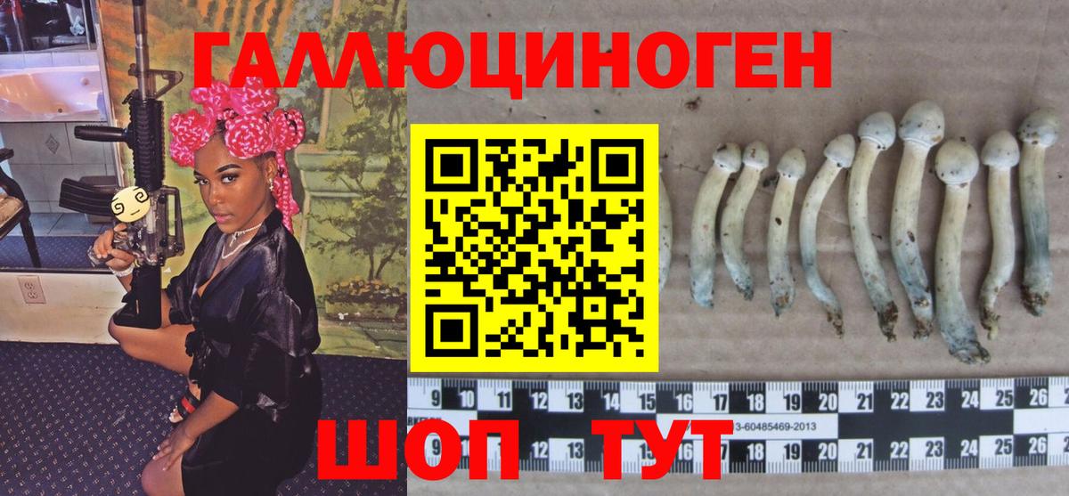 Галлюциногенные грибы GOLDEN TEACHER  Вход с VPN  Сертолово  Галлюциногенные грибы прущие грибы 